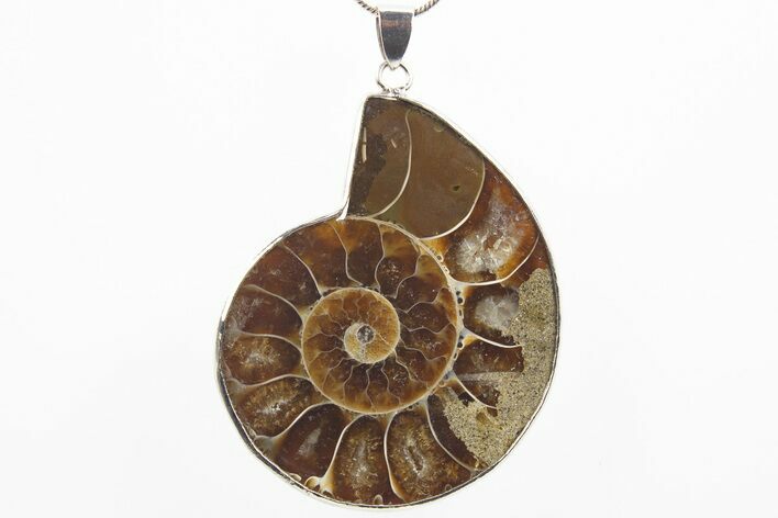 Fossil Ammonite Pendant - Million Years Old #306457